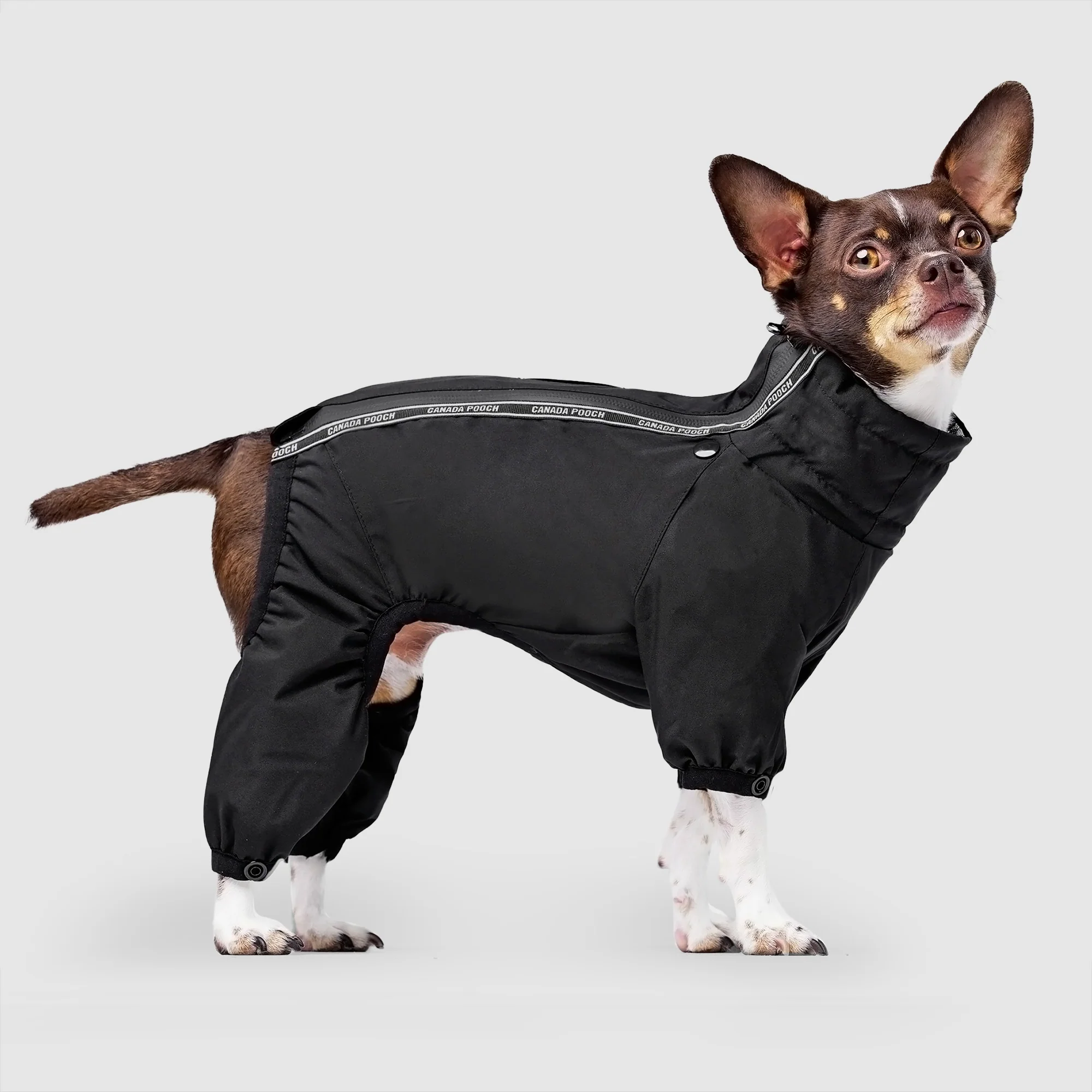 Best-Selling Dog Parkas & Jackets